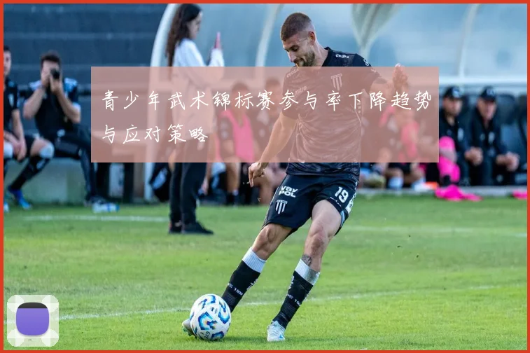 青少年武术锦标赛参与率下降趋势与应对策略