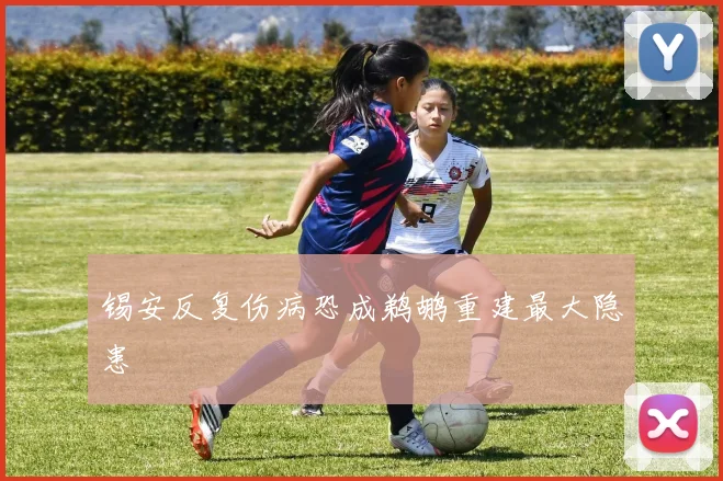 锡安反复伤病恐成鹈鹕重建最大隐患