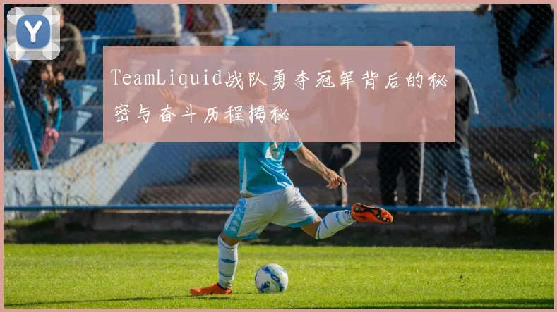 TeamLiquid战队勇夺冠军背后的秘密与奋斗历程揭秘