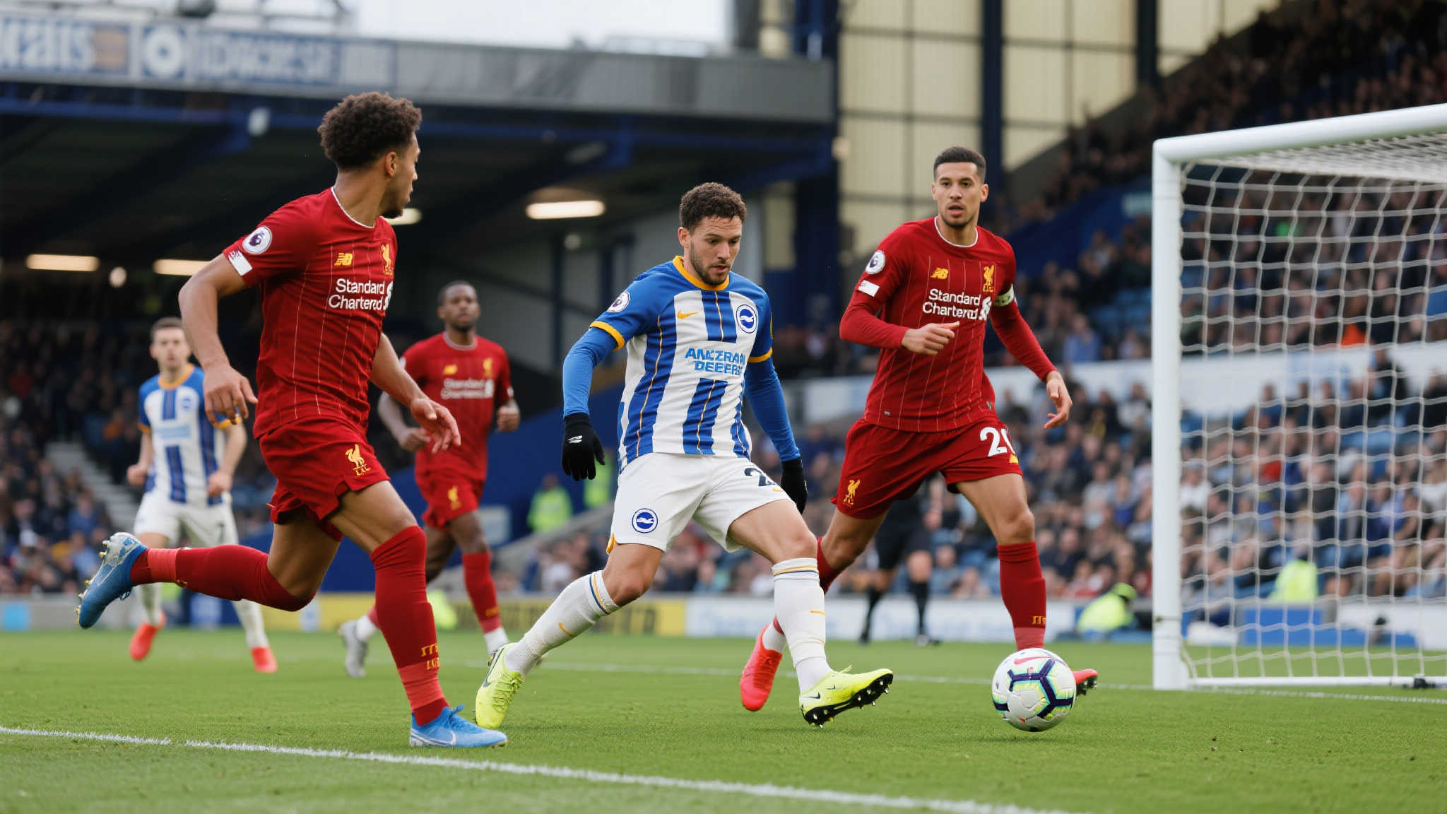 士密切关注 士密切关注