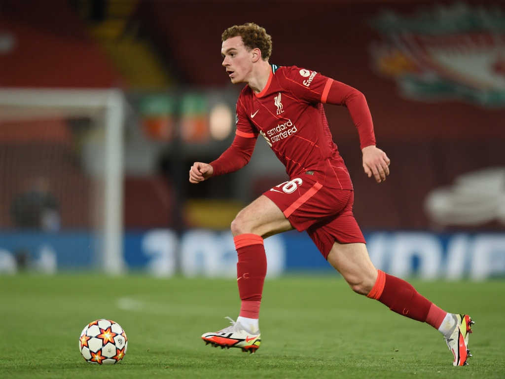 中缅跨国马 中缅跨国马